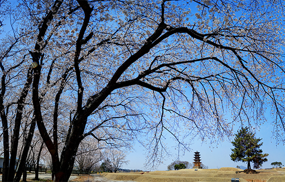 Gongsanseong Fortress