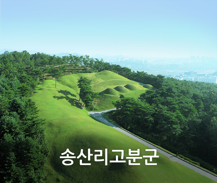 top_visua3
