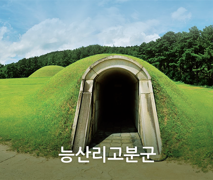 top_visua6