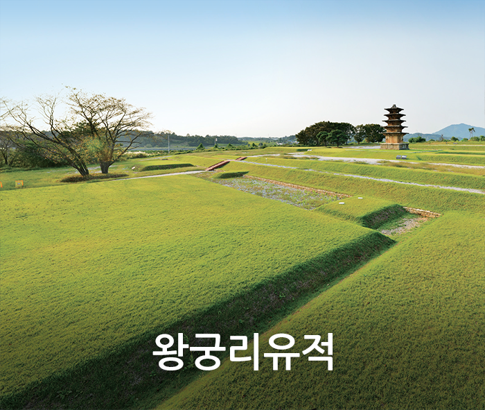top_visua8